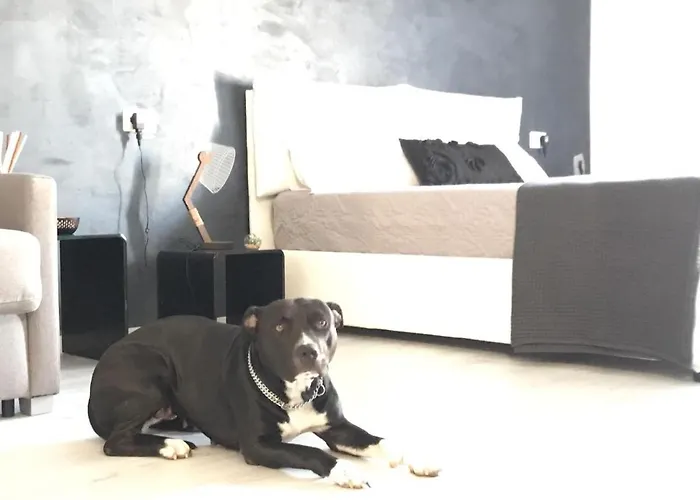 Le Stanze Al Centro 3*